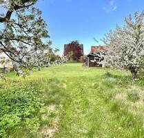 Freistehendes Viebrockhaus auf 1825 m² Traumgrundstück in 2. Reihe! - Jork