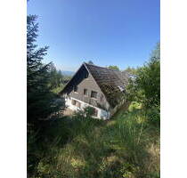 1,5 Zimmer Wohnung am Waldrand - 400,00 EUR Kaltmiete, ca.  33,00 m² Wohnfläche in Lauf (PLZ: 77886)