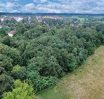 0,8 ha Waldfläche innerhalb einer Wohnsiedlung - 2 km von der Berliner Stadtgrenze - Blankenfelde-Mahlow