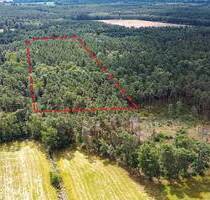 2,3 ha voll bestockte Waldfläche in Sachsen - Boxberg Kringelsdorf