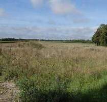 Grundstück mit genehmigten Plan für RH 3er und ein DH - Steinach Münster