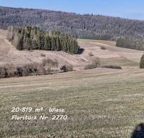 Wiese - Landwirtschaftliche Grundstücke - in Immendingen OT Mauenheim zu verkaufen!
