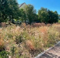 Attraktives Baugrundstück in Magdala - Ihr Platz für individuelles Wohnen