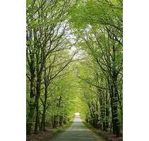 Wohnen an der Dresdner Heide mit Balkon, Terrasse & eigenem Garten! - Radeberg Ullersdorf