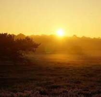Dachgeschosswohnung mit Terrasse im eigenen Garten | Grüne Umgebung - Radeberg Ullersdorf