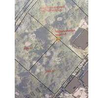 1000 m² Grundstück in Bad Schandau - Hanglage