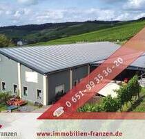 Konz: Gebäudekomplex bestehend aus neuer 800 m² großer Halle, Zweifamilienhaus + vermieteten Restaurant. - Konz / Krettnach