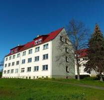 Frisch sanierte 2-Raum-Wohnung - 288,00 EUR Kaltmiete, ca.  48,00 m² Wohnfläche in Ostrau (PLZ: 04749)