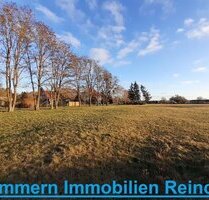 Viel Land soweit das Auge reicht. Am Dorfrand in Ruhe bauen! - Ducherow Schwerinsburg