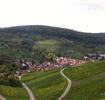 Idyllisches Wohnen, umgeben von Weinbergen und Obstbaumwiesen. - Weinstadt Strümpfelbach