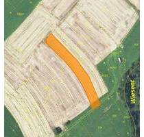 Ackerland zwischen Ebermannstadt und Rothenbühl