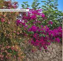 ERFURT MFH BAUJAHR 1995 ENERGIEKLASSE C Südlicher Panoramablick