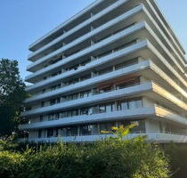Gutgeschnitte 2-Zimmer-Wohnung mit Balkon und Einbauküche in Wiesbaden