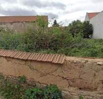 Traumhaft Wohnen im grünen Möbisburg - Grundstück - Erfurt Möbisburg-Rhoda