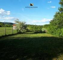 Vielfältiges Gartengrundstück in Altingen-991?m² für Naturgenuss, Gartenfreude und kreative Projekte - Tübingen Zentrum