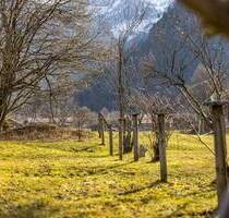 Sonniges Grundstück in Fischbachau - Fischbachau / Aurach