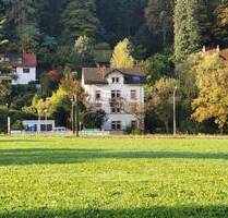 4-FamHs 1880 + Fabrik-Loft-Etage + 405qm WNF + 528qm GS + Gartenhs + Paradiesgarten + Teileigentum möglich - Freiburg im Breisgau Günterstal