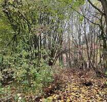 Seltene Gelegenheit: Letztes, unbebautes Villengrundstück am Sallerner Berg in der Riesengebirgstraße - Regensburg Sallern-Gallingkofen