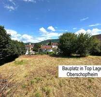 Bauplatz mit Panoramablick in Friesenheim-Oberschopfheim