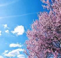 Ruhig und nur 600m zur S-Bahn Karow - bauträgerfreies Grundstück für Ihre Doppelhaushälfte! - Berlin