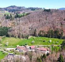 Auktion am 19. Juni 2025 - 2,7 ha Waldfläche oberhalb vom Weiler Sattelhof - Schopfheim Raitbach