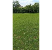 Bauplatz in Bergtheim, OT - 170.000,00 EUR Kaufpreis, ca.  0,00 m² in Bergtheim (PLZ: 97241) Dipbach