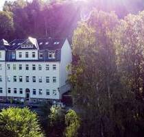 1-Raum-Wohnung mit moderner Einbauküche in ruhiger Lage von Annaberg-Buchholz! - Annaberg-Buchholz / Buchholz