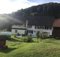 Großes 2 FH Schwarzwaldhaus in Bad-Peterstal Griesbach - Bad-Peterstal Griesbal Bad Griesbach