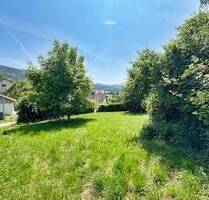 Hier können Sie ihren Traum verwirklichen - Balingen Zillhausen