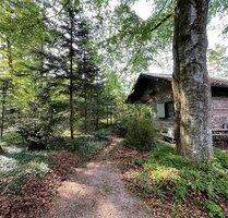 Bieterverfahren: Freizeit-Waldgrundstück mit uriger Blockhütte - Grasbrunn Harthausen