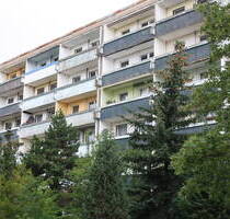 Zum Einzug bereit ! 3-Raumwohnung mit großer Wohnküche zu vermieten - Bitterfeld-Wolfen