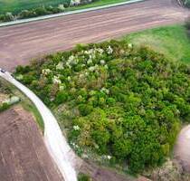 Auktion am 19. Juni 2025 - 1,3 ha unbebaute Grundstücke (ehemalige Deponien) - Salzatal Köllme