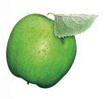 Schicke neu renovierte 2- Zi Wohnung mit EBK und Stellplatz - Weidenberg