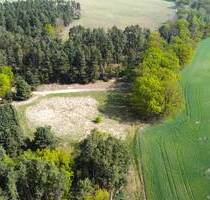 Auktion am 19. Juni 2025 - 1,3 ha Wiesen- und Waldflächen - Drebkau Domsdorf