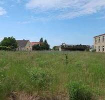 729 m² Baugrundstück für ein Einfamilienhaus (Grundstück 07) - Wiesenburg/Mark