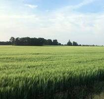 696 m² Baugrundstück für ein Einfamilienhaus (Grundstück 06) - Wiesenburg/Mark