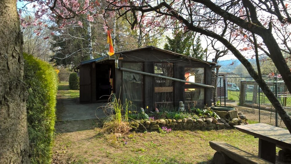 Großes Gartengrundstück mit Gartenhütte in Birkenfeld