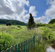 NATUR PUR! - 25.000,00 EUR Kaufpreis, ca.  0,00 m² in Extertal-Kükenbruch (PLZ: 32699)