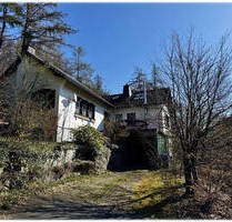 RESERVIERT! Charmantes Waldhaus in idyllischer Lage - ideal für Naturfreunde und Ruhesuchende! - Willingen (Upland) Neerdar