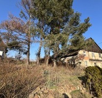 Historisches Fachwerkjuwel als Einzeldenkmal mit Baugenehmigung - Einzigartige Gelegenheit! - Dresden Zaschendorf