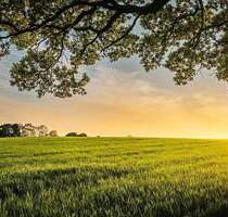 Sofort bebaubares Grundstück in bester Lage in der Nordstadt II - Heppenheim