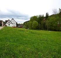 ++ Familienfreundliches Grundstück im Grünen ++ - Loßburg / Betzweiler
