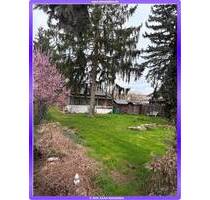 Building plot in the northern suburbs of Berlin - Borgsdorf