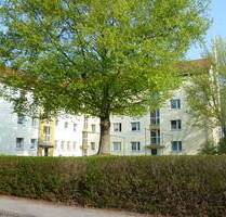Gemütliche Wohnung für eine Person - Ratzeburg