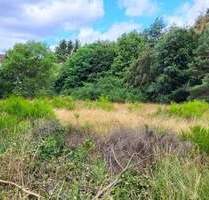 Ideal für Bauträger! Großes Baugrundstück in HomburgSaar.