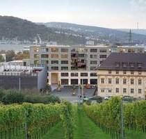 Moderne Büros mit großzügigen Fensterfronten - provisionsfrei & flexibel - All-in-Miete - Stuttgart Obertürkheim
