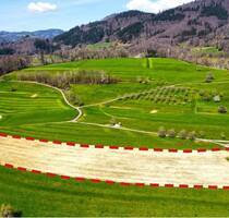 Auktion am 19. Juni 2025 - 1,5 ha Landwirtschaftsfläche - Schopfheim Raitbach