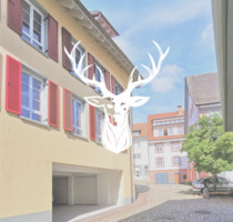 Barrierefreie, moderne 3-Zimmer-Wohnung mit Garagenstellplatz in Tiengen zu vermieten - Waldshut-Tiengen