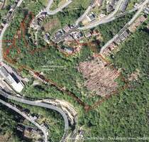 3,5 ha Waldgrundstücke in Altena