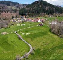 Auktion am 19. Juni 2025 - 3,8 ha Landwirtschaftsflächen - Schopfheim Raitbach